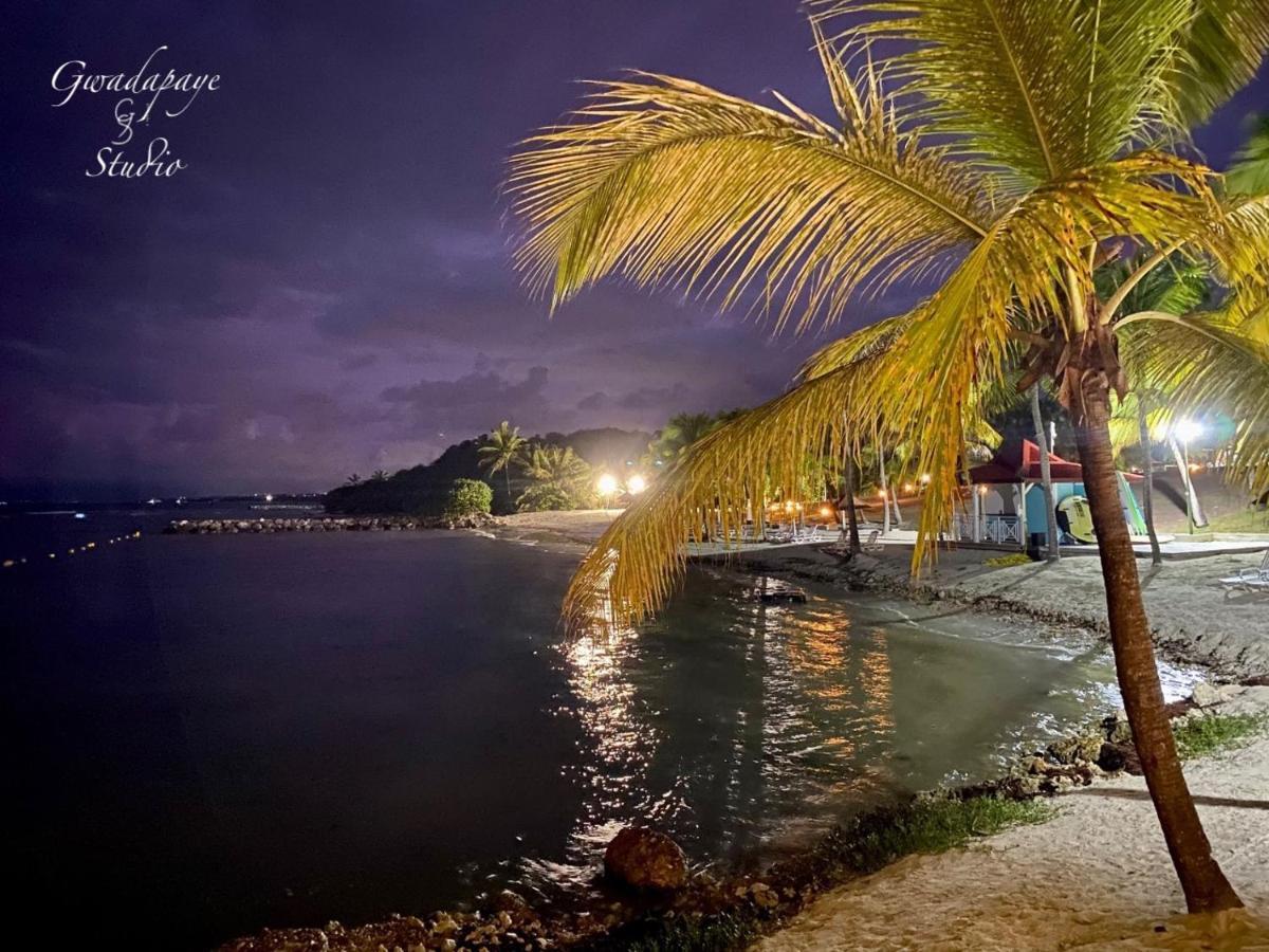 Vue Exclusive Mer Et Volcan, Village Vacances Avec Plage Et Piscine, Les Gwadastudios Сент-Анн Экстерьер фото