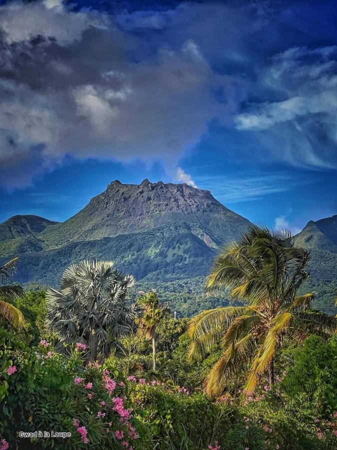 Vue Exclusive Mer Et Volcan, Village Vacances Avec Plage Et Piscine, Les Gwadastudios Сент-Анн Экстерьер фото