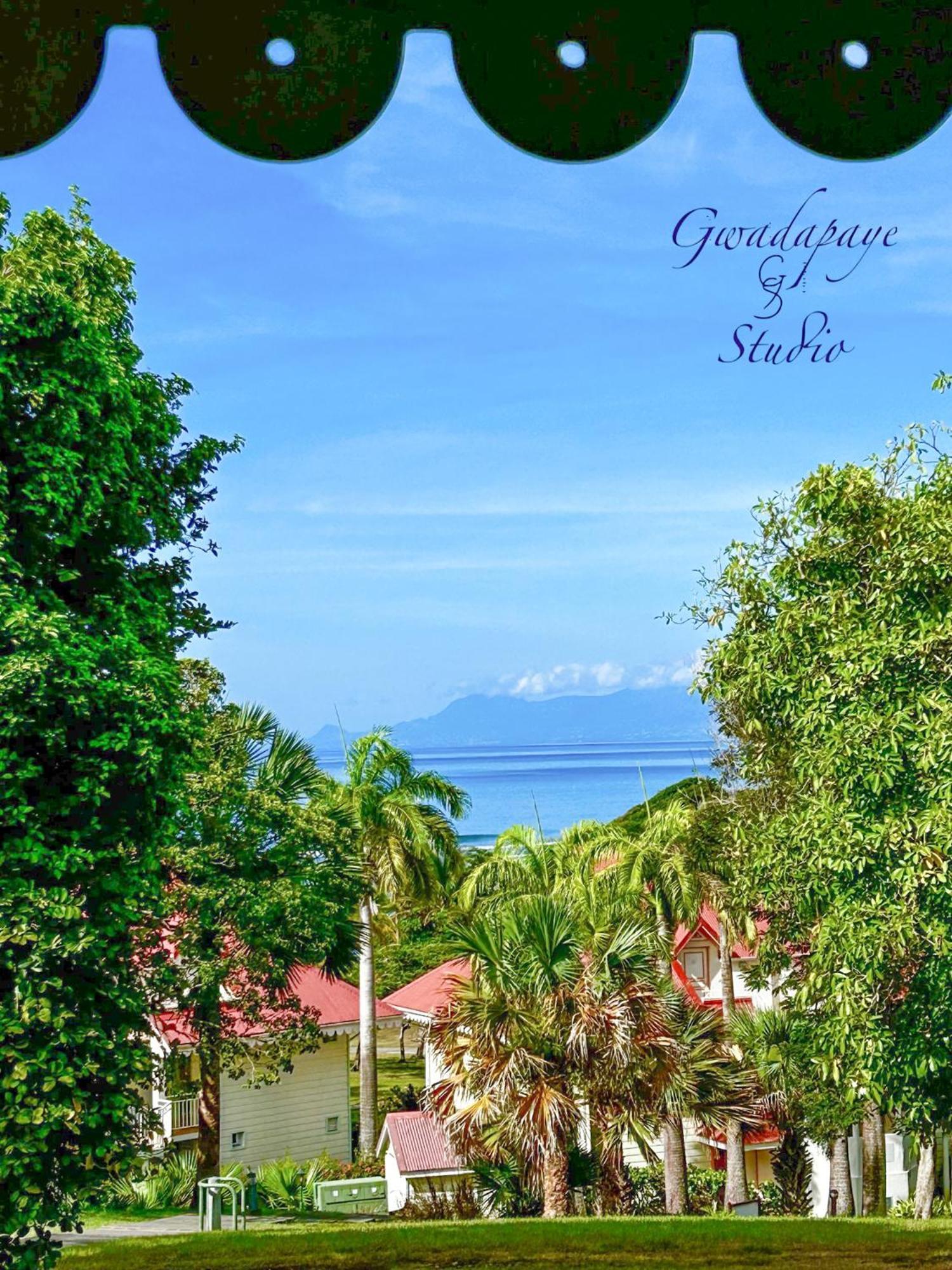 Vue Exclusive Mer Et Volcan, Village Vacances Avec Plage Et Piscine, Les Gwadastudios Сент-Анн Экстерьер фото